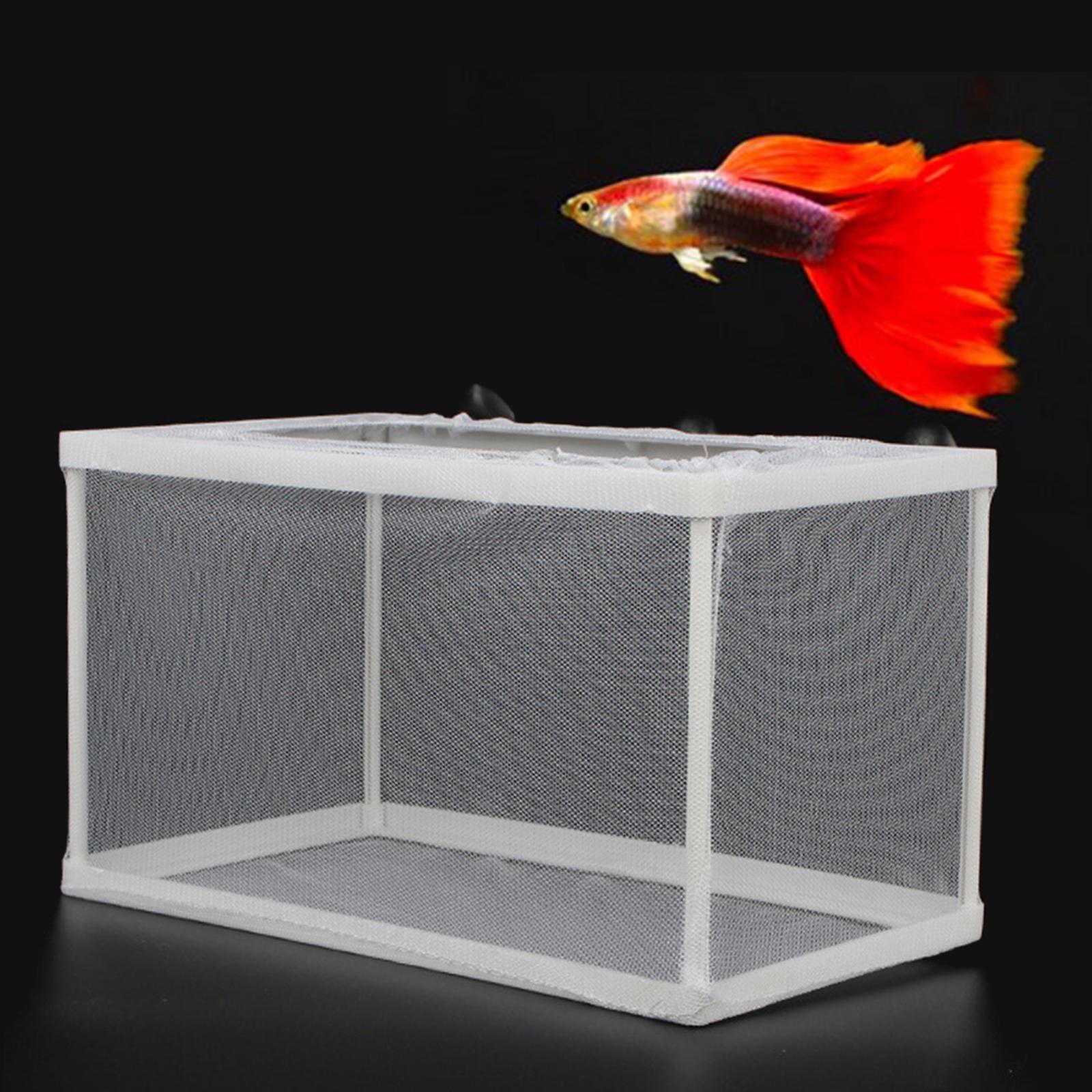 Fish Breeder Box Separation Ju - Lab Incubator 评论和价格