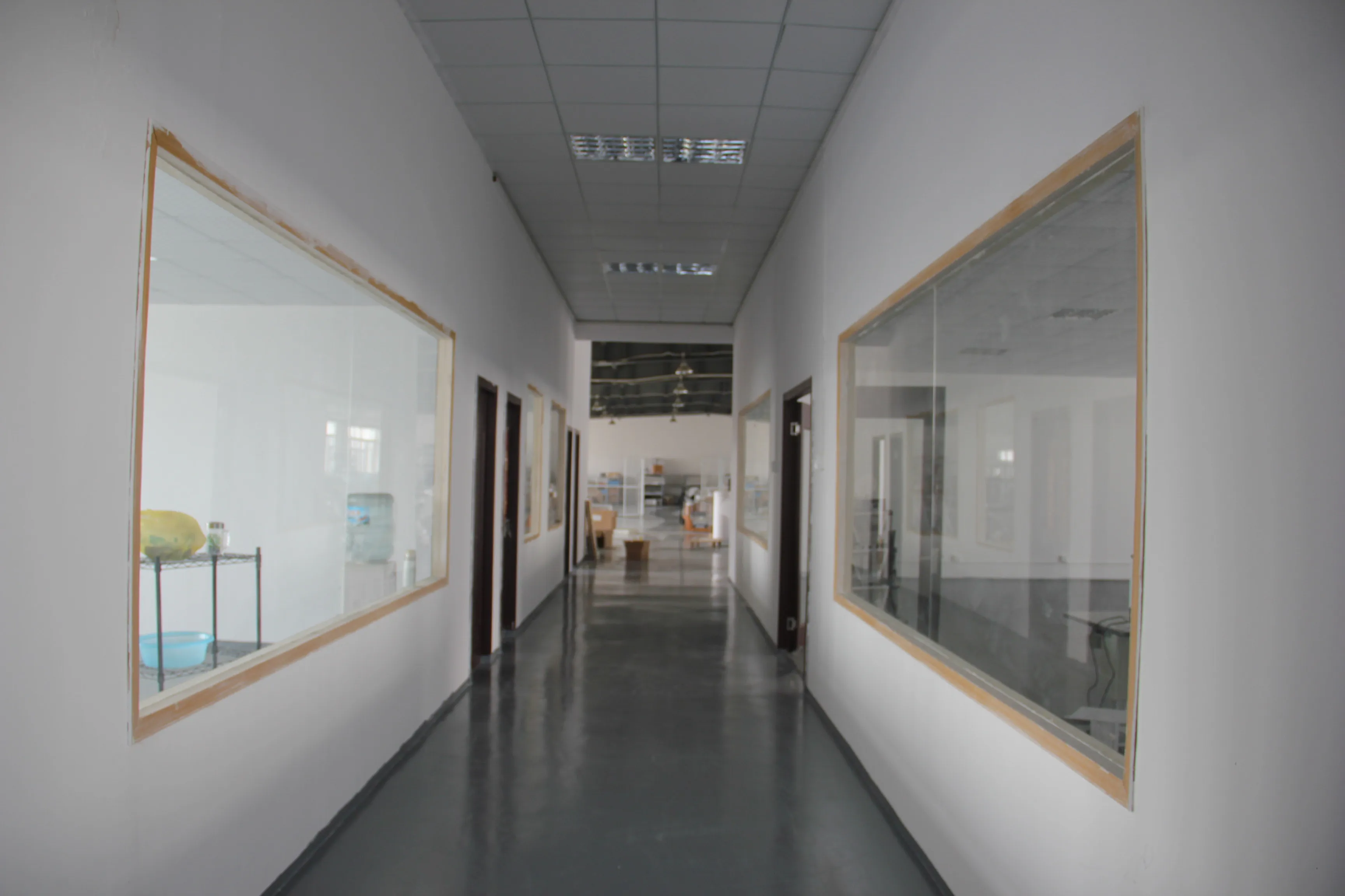Automatic OCT Optical Coherenc - Medical Lab Images 评论和价格