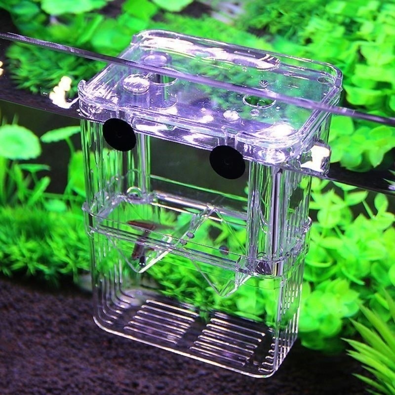 Multifunctional Fish Aquarium  - Lab Incubator 评论和价格