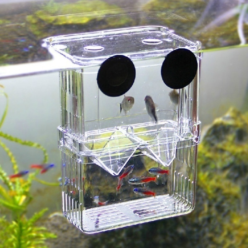 Multifunctional Fish Aquarium  - Lab Incubator 评论和价格